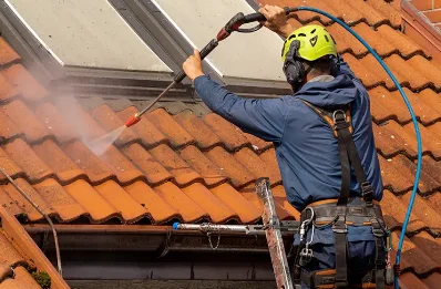 Démoussage et hydrofuge de toiture à Bouresse